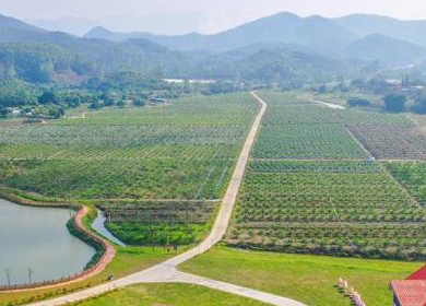 廣州市幸福田園蔬菜現代農業產業園區項目